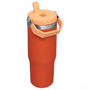Stanley US Classic Flip Straw Tumbler 30 oz – Tigerlily