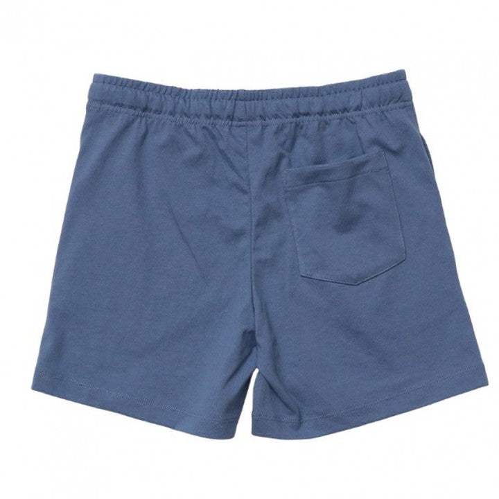 Champion Japan Script Logo Womens Shorts Blue Gray - ANTHEM