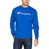 Champion US Script Logo Sweatshirt – Surf the Web