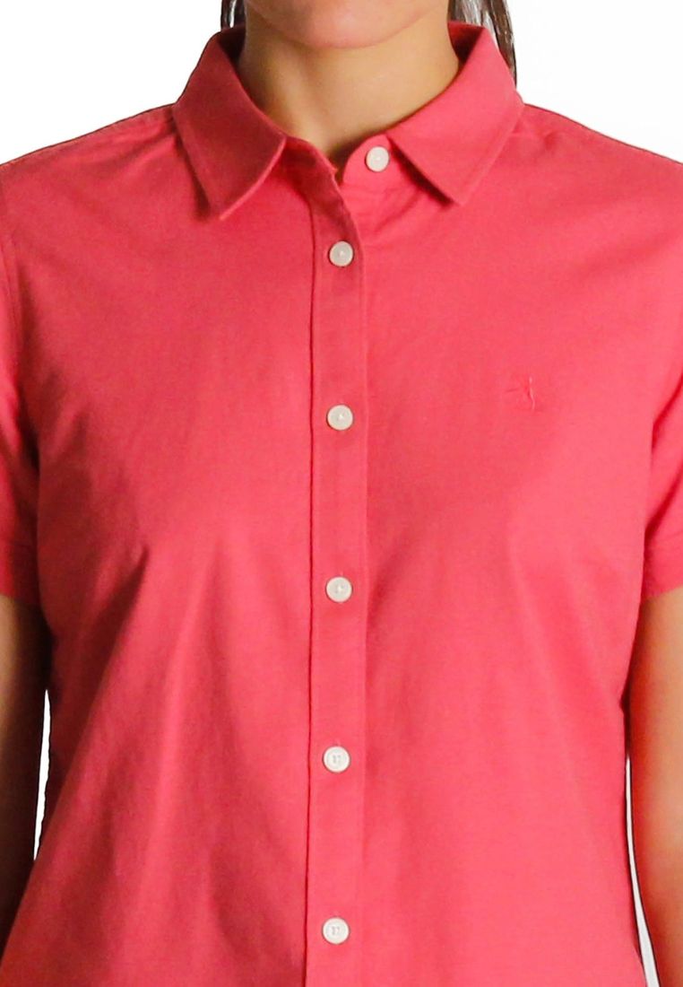 Original Penguin Women's Short Sleeve Core Oxford Shirt - ANTHEM